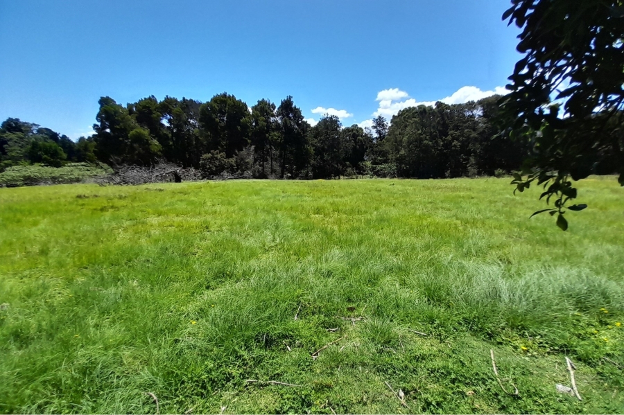 6 Bedroom Property for Sale in Wilderness Heights Western Cape